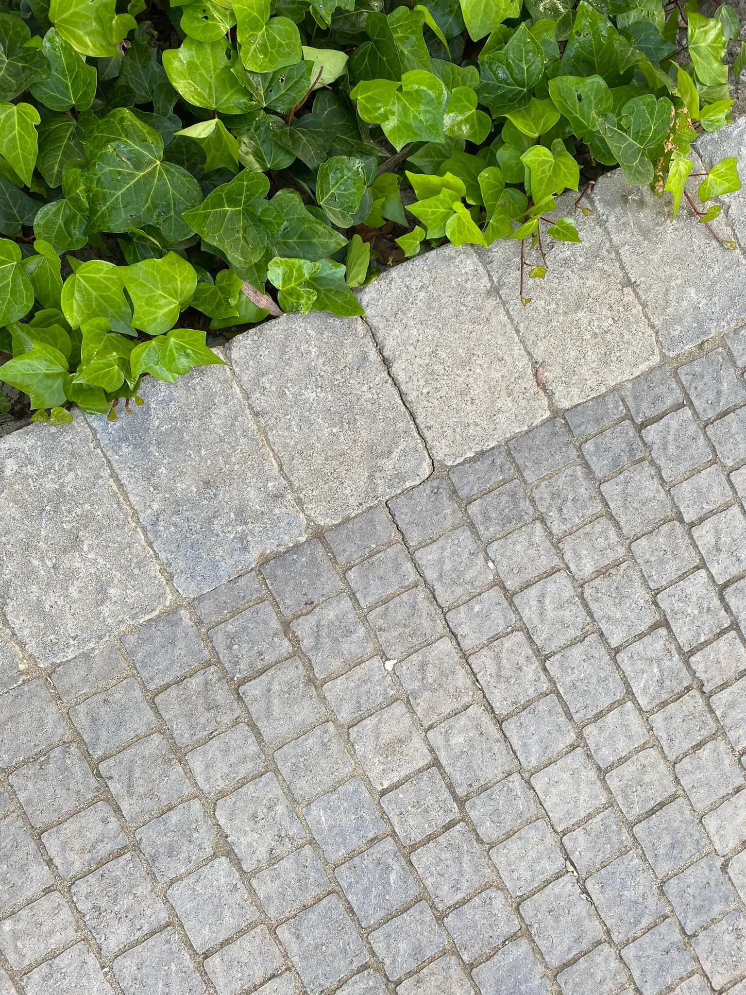 Palermo Acker-Stone pavers installed — project 3