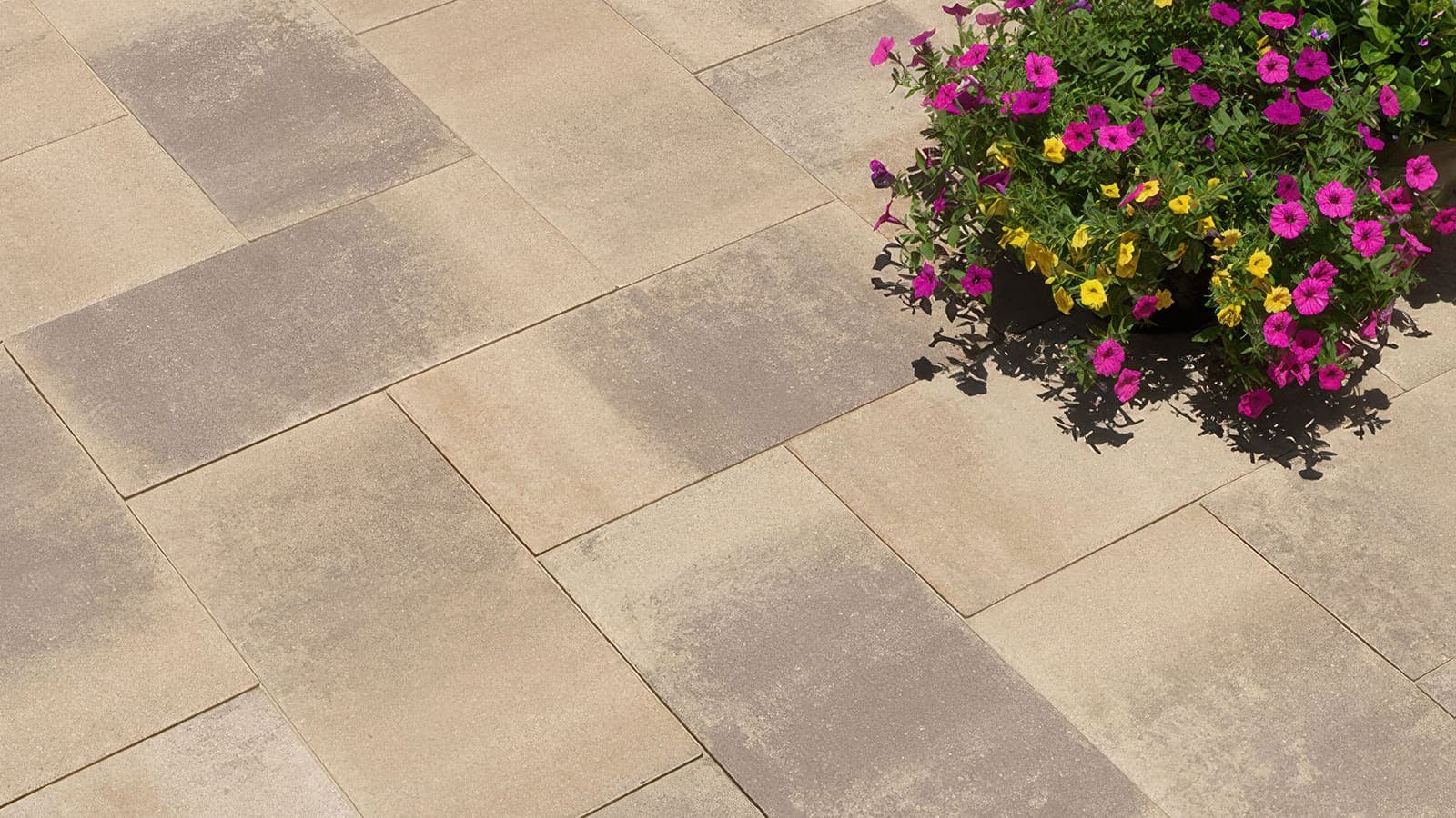60mm 12x24 Paving Stones Angelus pavers installed — project 5