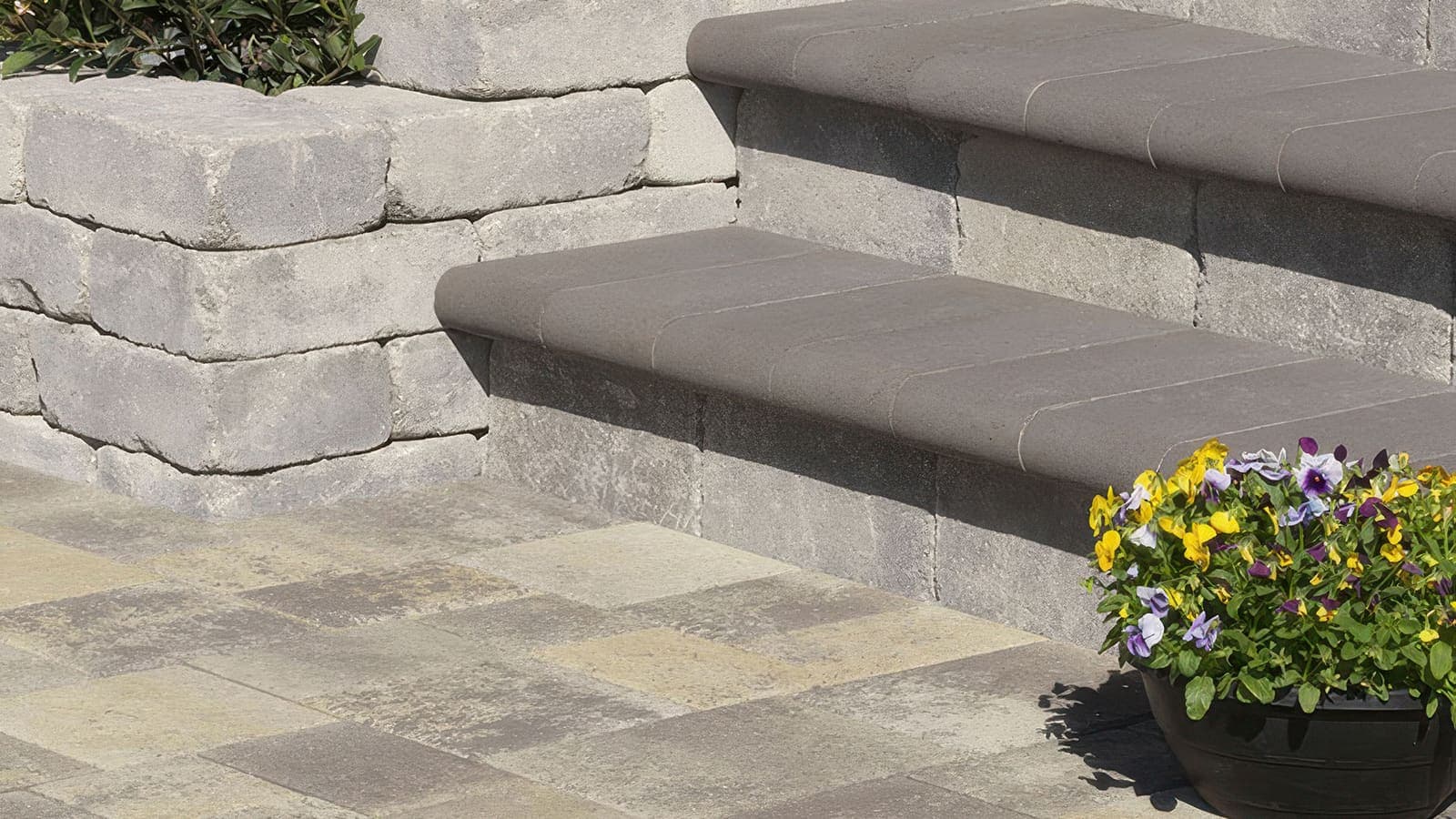 6x14 Bullnose Coping Angelus pavers installed — project 1