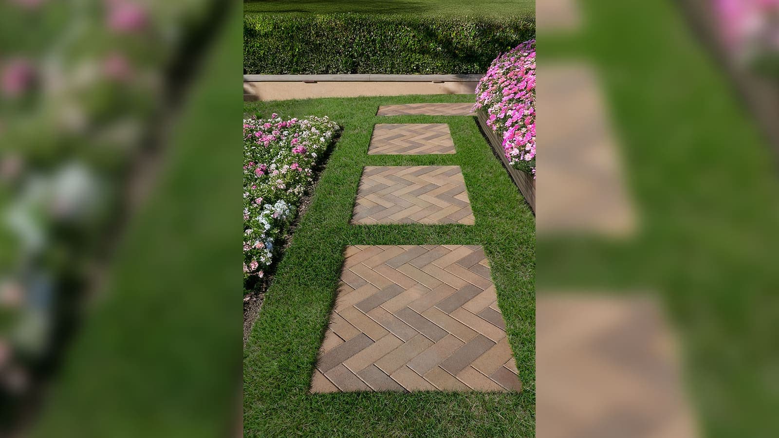 80mm 4x12 Paving Stones Angelus pavers installed — project 5