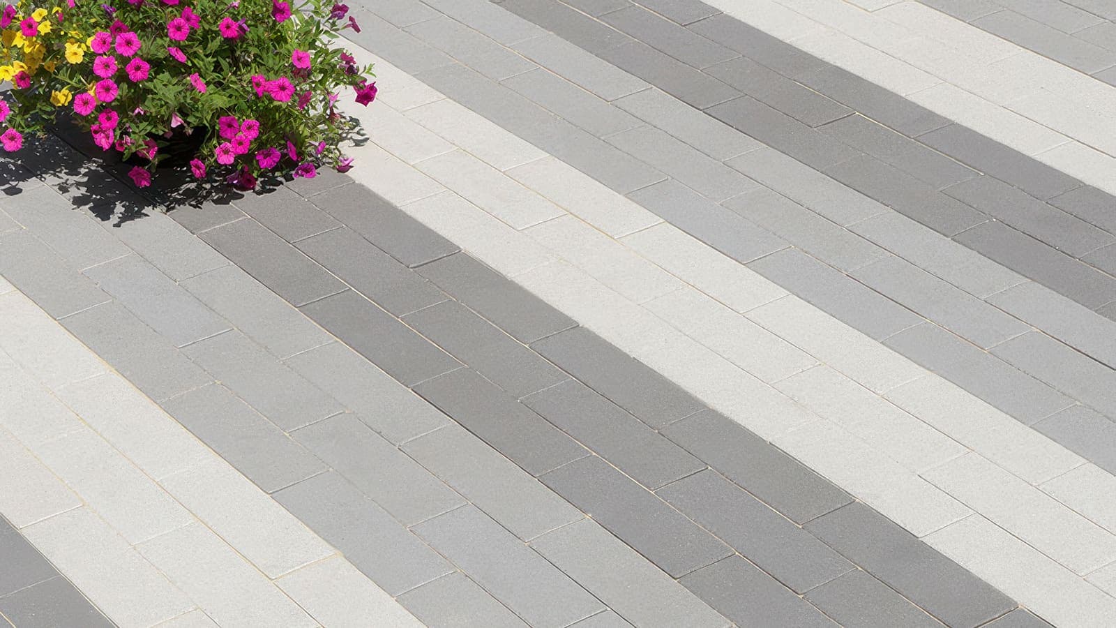 80mm 4x12 Paving Stones Angelus pavers installed — project 7