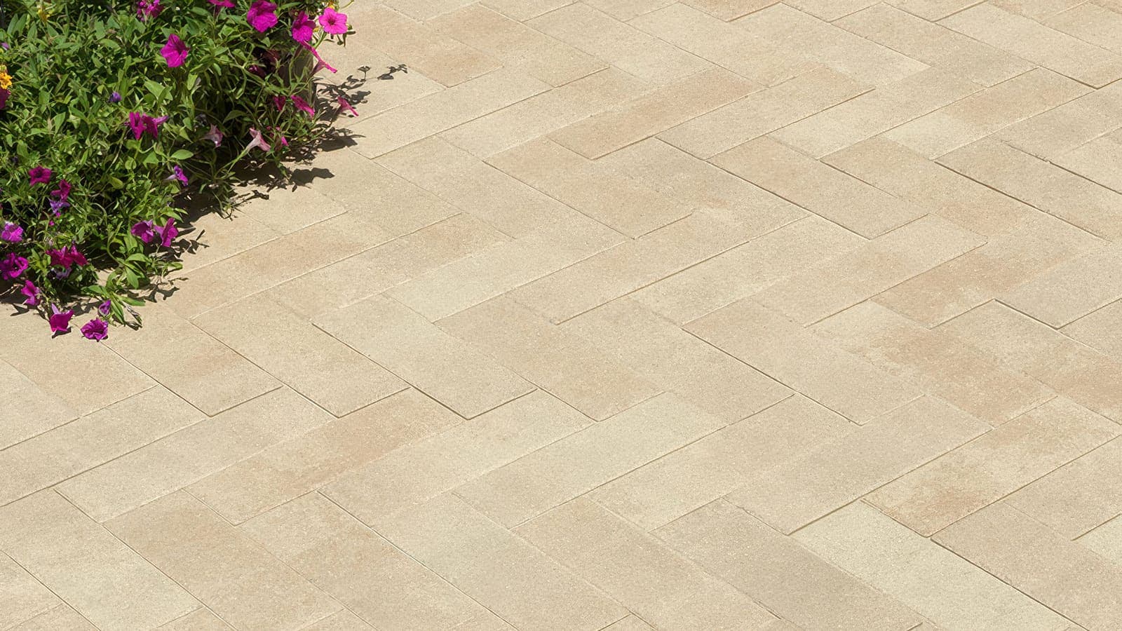80mm 4x12 Paving Stones Angelus pavers installed — project 8