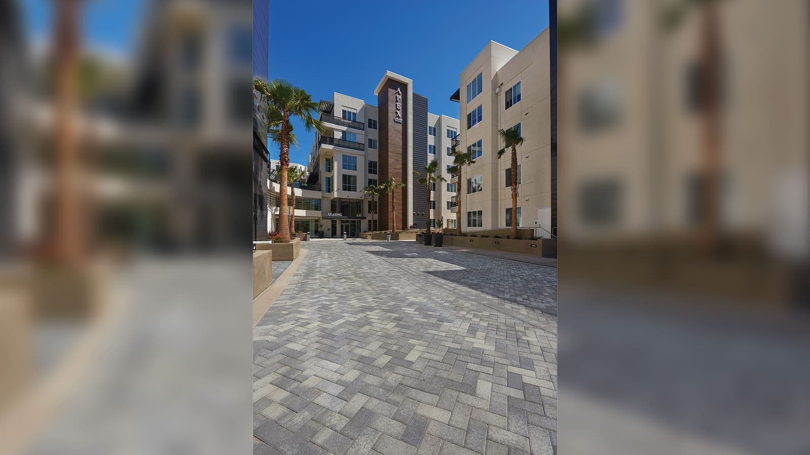 Holland Paving Stones Angelus pavers installed — project 2
