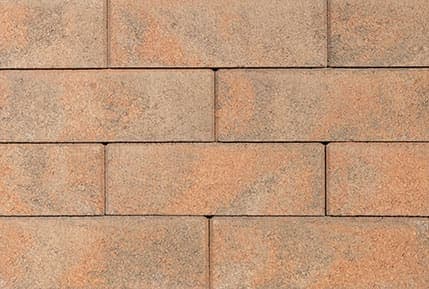 Cream - Terracotta - Brown