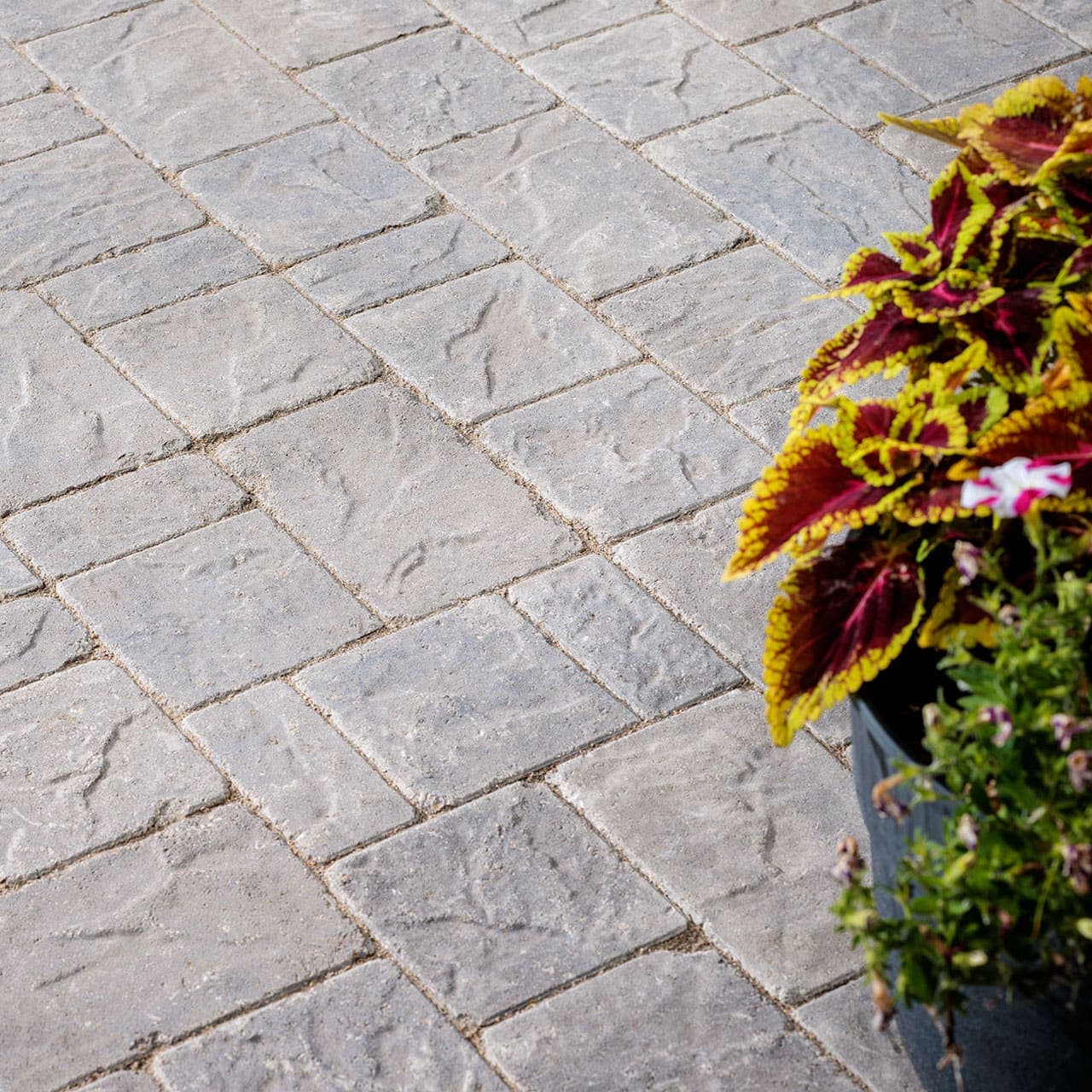Origins Antiqued Belgard pavers installed — project 3