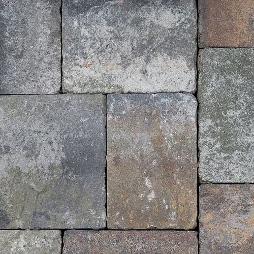 Sequoia Sandstone