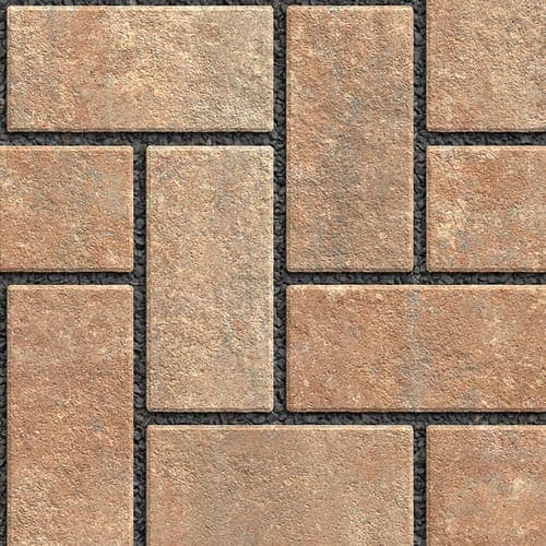 Savannah swatch