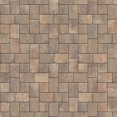 Savannah swatch