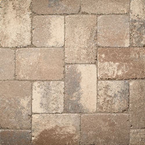 Savannah swatch