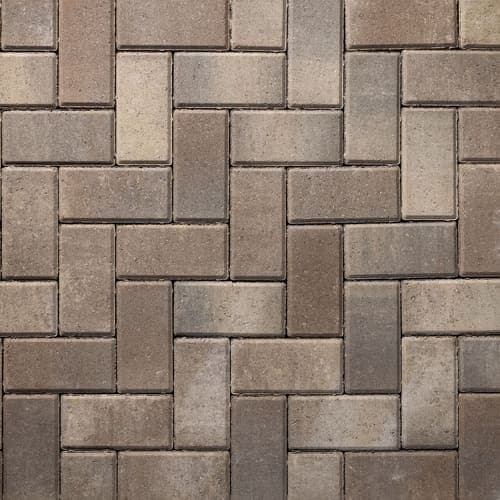 Savannah swatch