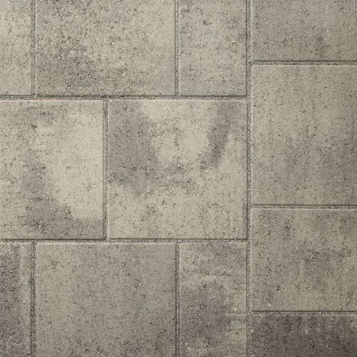 Arctic Gray