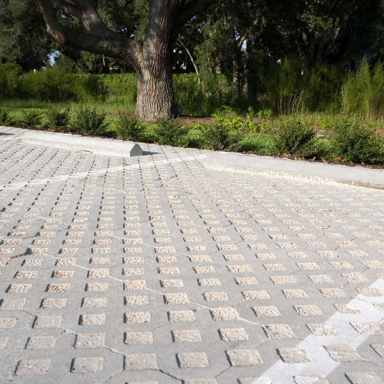Turfstone Grid Paver Belgard pavers installed — project 7