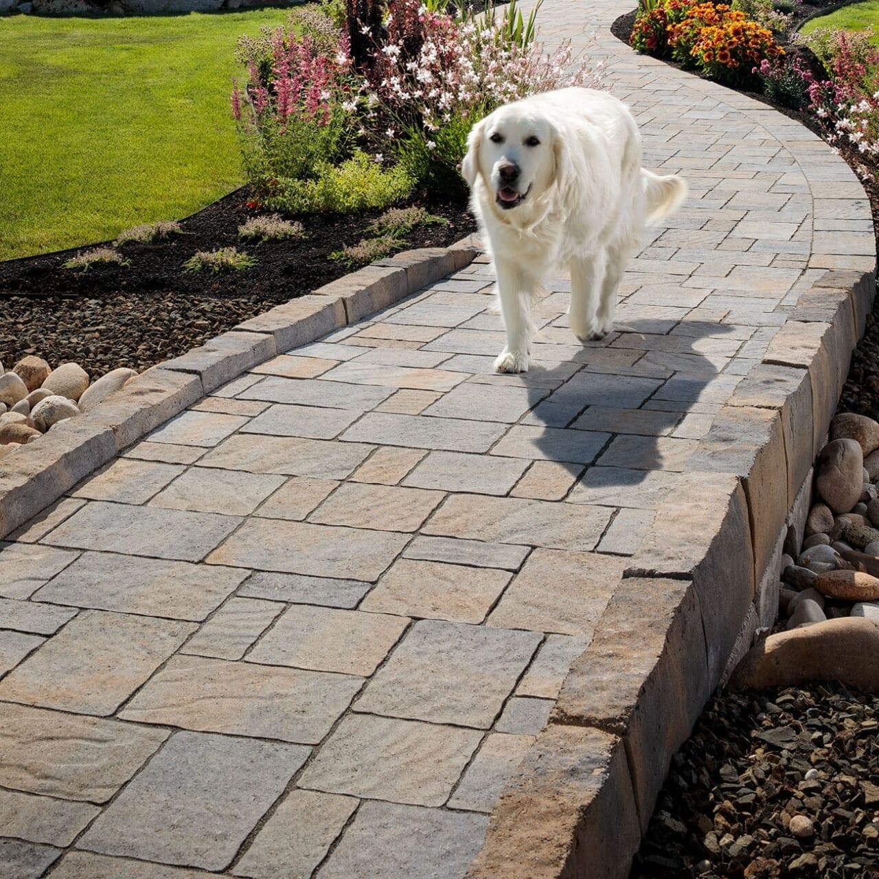 Urbana Stone Belgard pavers installed — project 2