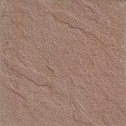 Buckskin swatch