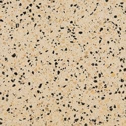 Cream Black