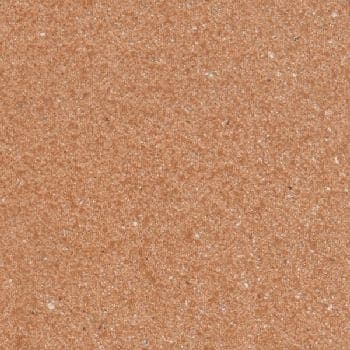 Prairie Tan